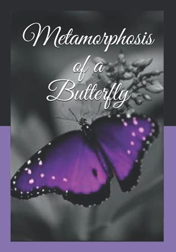 Metamorphosis of a Butterfly: How Her Life Cycle Began
