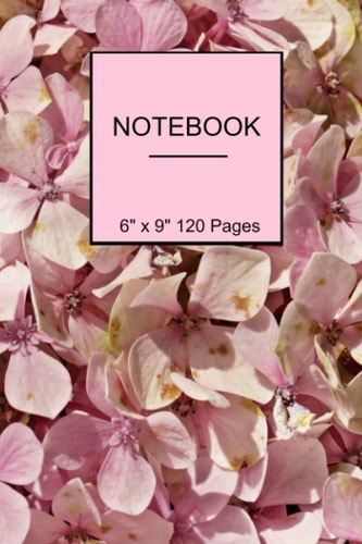 Notebook: 6" x 9" 120 college-ruled pages.