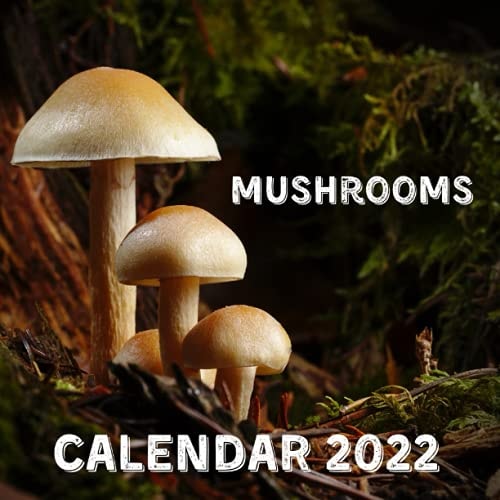 Mushrooms Calendar 2022: September 2021 - December 2022 Monthly Planner Mini Calendar With Inspirational Quotes