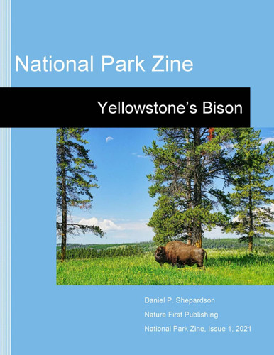 National Park Zine Yellowstone's Bison
