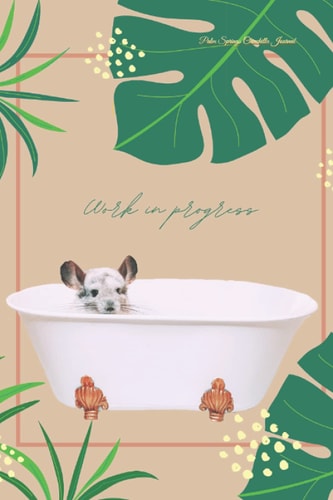 Palm Springs Chinchilla Journal: Gift for Chinchilla Lovers and Note Takers