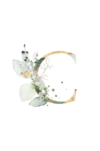 Wild Spirit Journals - Notebook: Watercolored Pastel Floral Monogramed Notebook: Initial Letter C White Notebook Journal for Women, Girls and School.: 9 x 6 inch notebook with 120 Blank lined pages.