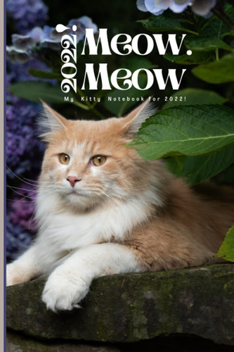 Meow. Meow 2022!: My Kitty Notebook for 2022!