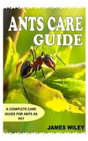 Ants Care Guide A Complete Care Guide for Ants as Pet