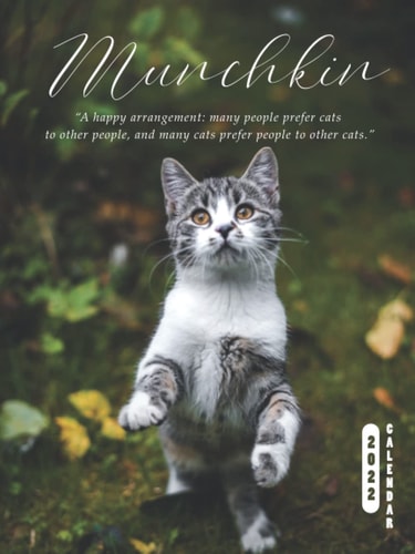 Munchkin 2022 Calendar: 12-Month Calendar 2022