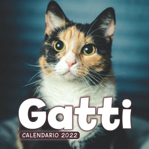 Gatti Calendario 2022: Un Calendario Mensile Di 12 Mesi Gennaio A Dicembre 2022 8.5x8.5 pollici. Un Grande Regalo Per Natale, Un Compleanno O Qualsiasi Altra Occasione Speciale (Italian Edition)