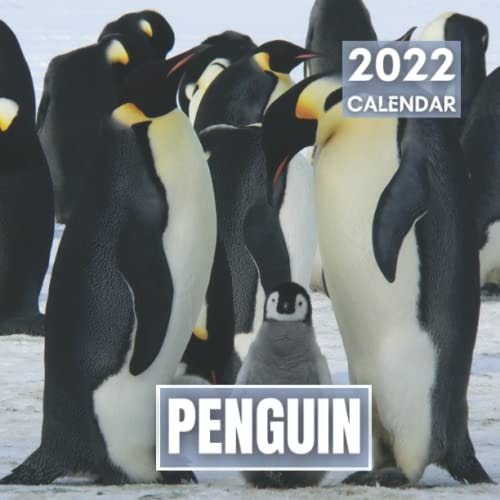 Penguin Calendar 2022: Beautiful Penguin Photos Perfect for Adults and Kids as a Gift for a Cute AniimalS Lover for Any Occasion such as Christmas or Birthday