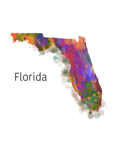 Florida Notebook 100 Standard Rule Sheets