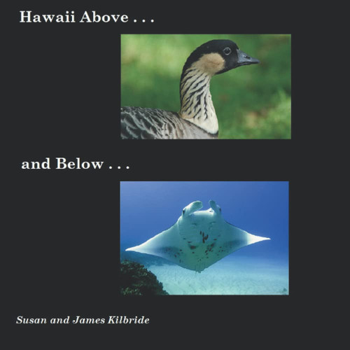 Hawaii Above and Below