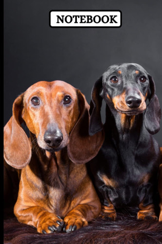 Sausage Dog Notebook: Cute Dachshund Notebook for Dog Lovers | Animal Notebook