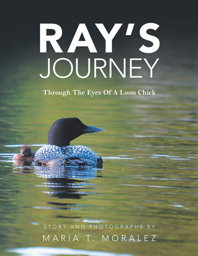 Ray's Journey Through the Eyes of a Loon Chick