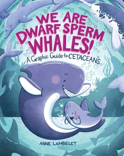 We Are Dwarf Sperm Whales! A Graphic Guide to Cetaceans