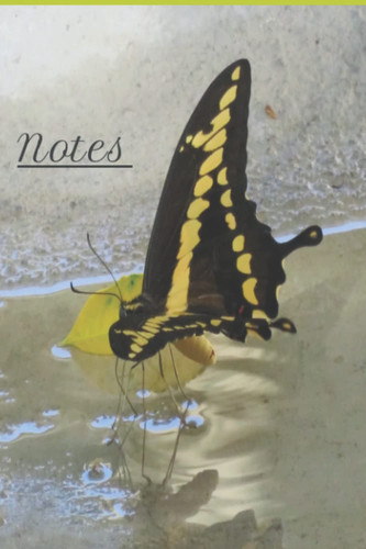Butterfly Journal: College Rule - 100 pages 6”x9”