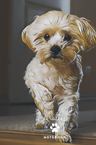 Maltese Notebook: Composition Book for Girls Boys Kids Adults Students Pet Owners Home Office School or College