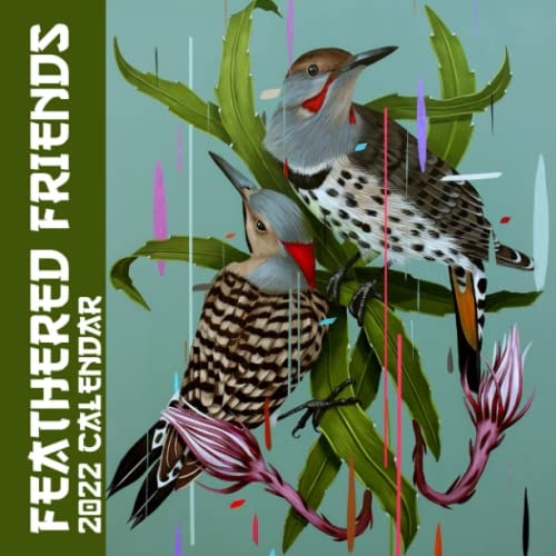 Feathered Friends 2022 Calendar