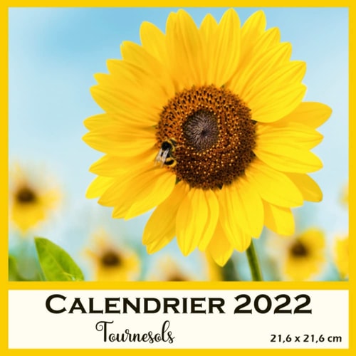 Calendrier 2022 - Tournesols: De jolies photos carrées toute l'année Janvier à Décembre - Mural (French Edition)