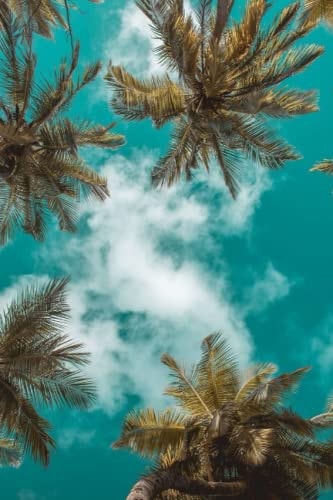 Notebook Palm Trees and Sky