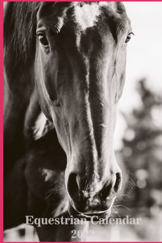 2022 Eqestrian calendar Horse Training Pink: Planner Positive Reinforcement Training