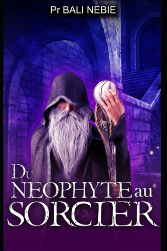DU NEOPHYTE AU SORCIER (French Edition)