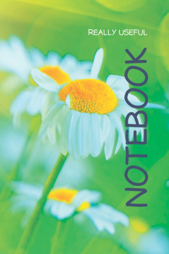 Really Useful Notebook: 100 page notebook for Ideas Lists Thoughts Feelings Inspirations To do