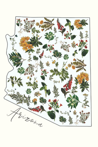 Arizona 120 Page Floral Designed Notebook