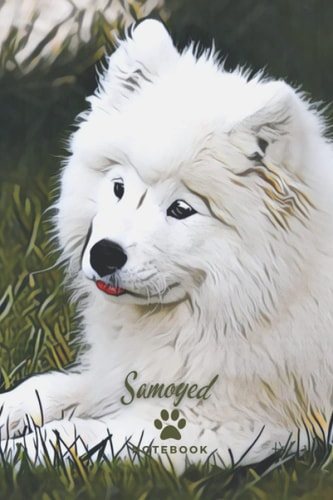 Samoyed Notebook: Square Grid Journal with Unique Pet Cover Perfect for Girls, Boys, Women, Men, Kids, Teenager, College, Pet Lovers, School, Office, Math, Education