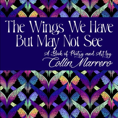 The Wings We Have But May Not See: A Book of Poetry & Art