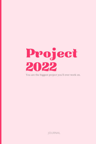Project 2022 Journal