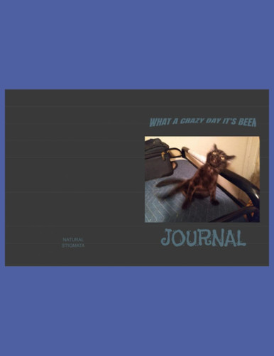 What a Crazy Day It's Been!: Journal: 100 Paged Lined Journal with Monthly To-Do-Lists, Recipe Writing, Birthday Reminders, Chore Lists and Cat on the Cover