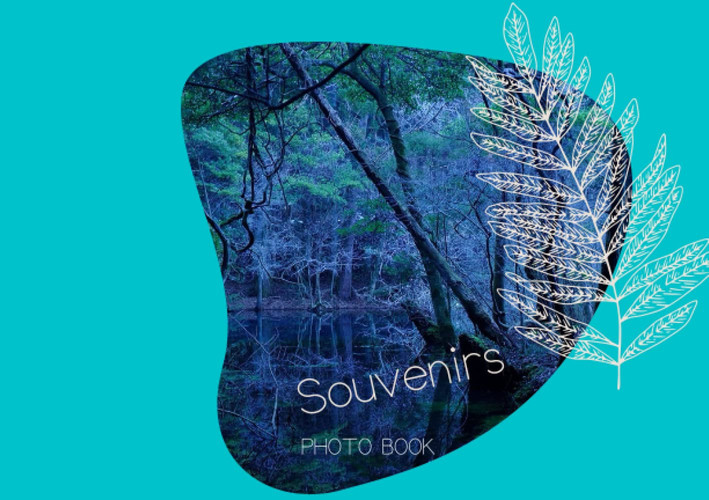 Souvenirs:  (Japanese Edition)