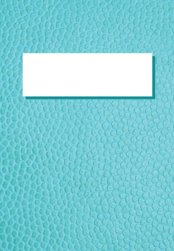 Notebook: Bleu (6.69 x9.61 inches) - 120 Pages Notebook/Journal