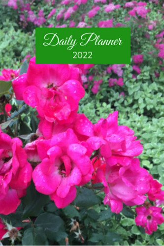 2022 Daily Planner: Daily Planner