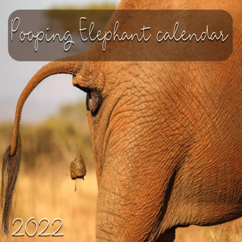 Pooping Elephants 2022 Calendar: | 12 Month - Cool Poop Photo Calendar | 8.5"x8.5" Squared Monthly Calendar |Pooping Animals| Humorous White Elephant Gag 2022 Calendar Present for Birthday Christmas