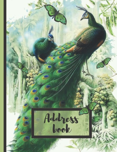 Address Book With Alphabetical Tabs: Large Print - Large Telephone Address Book for Seniors & Women,Alphabetical Tab Addresses, to Record Addresses, ... tabs, gift for anyone or yourself.
