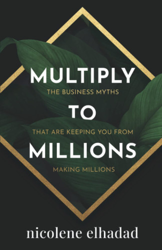 MULTIPLY TO MILLIONS: THE BUSINESS MYTHS THAT ARE KEEPING YOU FROM MAKING MILLIONS