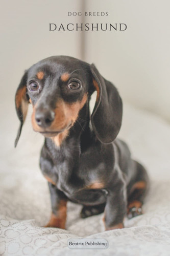 Notebook Dog Breeds Dachshund: Yournal, Diary, Animal Print