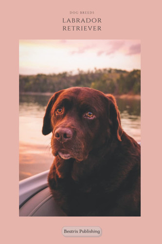 Notebook Dog Breeds Labrador Retriever: Younal, Diary, Animal Print