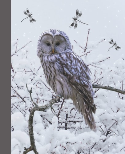 Composition Notebook Journal: 120 College Ruled Pages Owl & Dragonflies in Winter's Snow