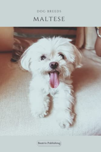Notebook Dog Breeds Maltese: Yournal, Diary, Animal Print