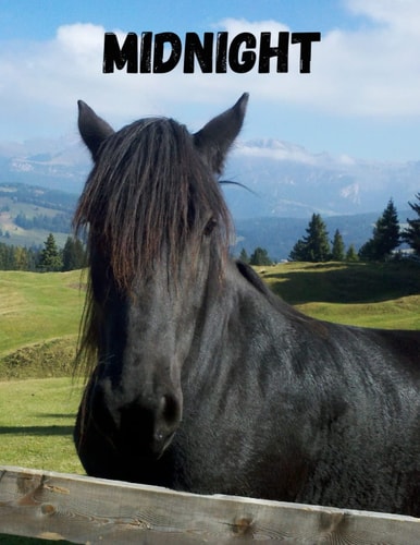 Midnight: 5 year planner