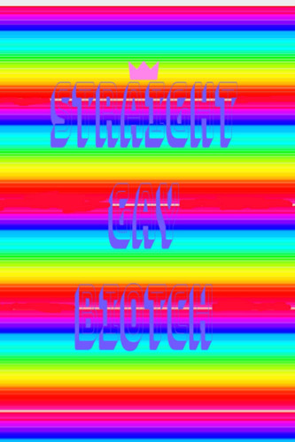 Rainbow gay pride notebook: Rainbow gay biatch notebook