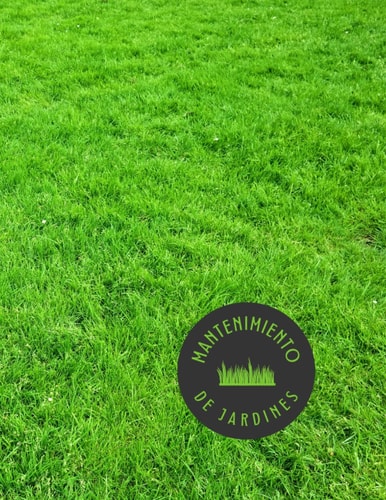 MANTENIMIENTO DE JARDINES. AGENDA DE CLIENTES: Lleva un registro de los servicios de jardinería: mantenimiento, poda, limpieza, corte de césped... | ... ideal para Jardineros (Spanish Edition)