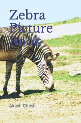 Zebra Picture Book