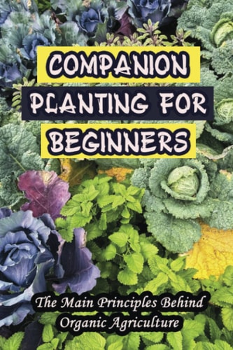 Companion Planting For Beginners: The Main Principles Behind Organic Agriculture