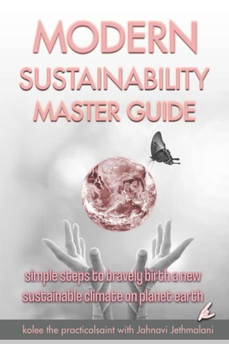Modern Sustainability Master Guide: simple steps to bravely birth a new sustainable climate on planet earth