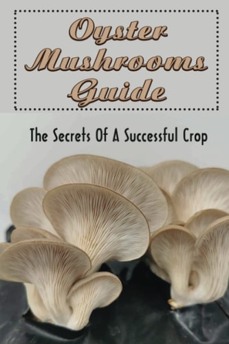 Oyster Mushrooms Guide: The Secrets Of A Successful Crop