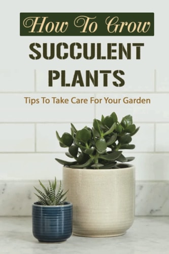 How To Grow Succulent Plants: Tips To Take Care For Your Garden