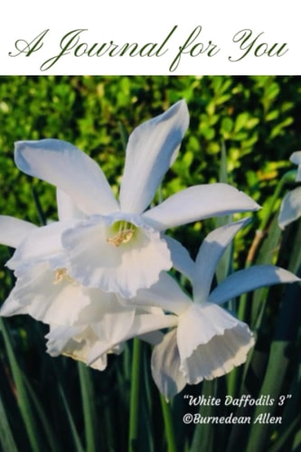 A Journal for You: White Daffodils 3