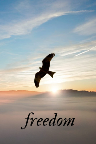 Freedom: Motivational Notebook, Journal, Diary - Funds to Ukraine