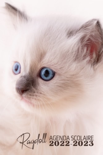Agenda scolaire chat 2022-2023 : Chaton Ragdoll aux yeux bleus: Journalier 2 jours par page | Collège, lycée, étudiants | Août à août, été condensé | ... | Fille | Mignon | Animaux (French Edition)